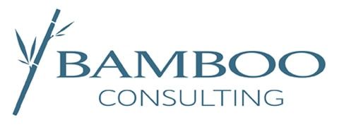 Bamboo Software Logo