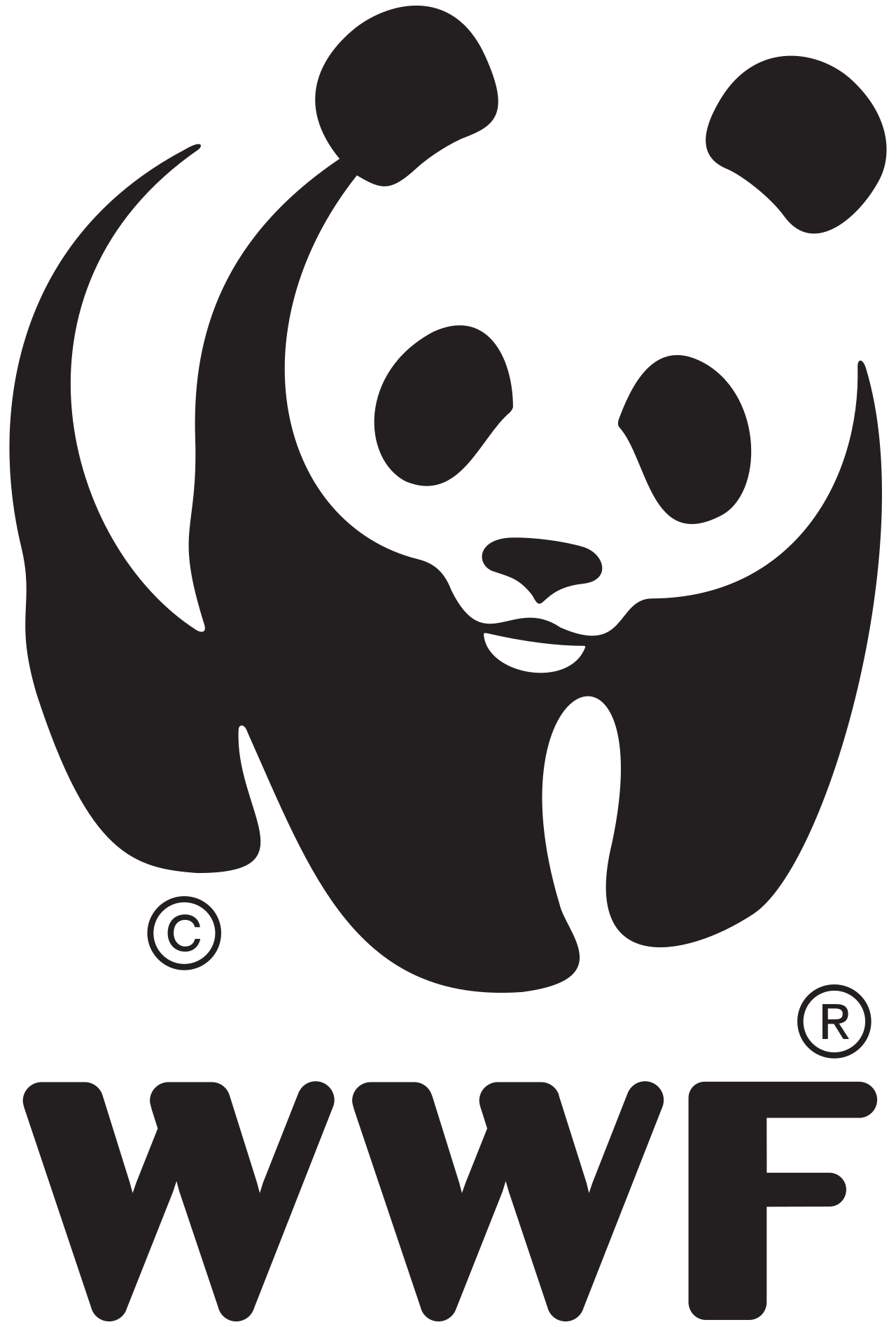 WWF World Wildlife Fund Logo